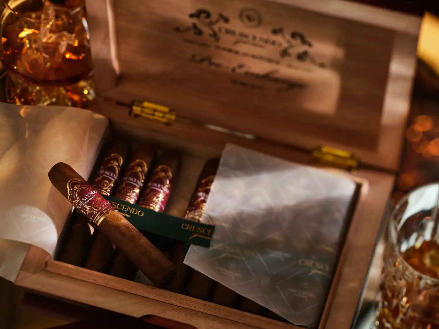 Pre-Embargo - Image 5